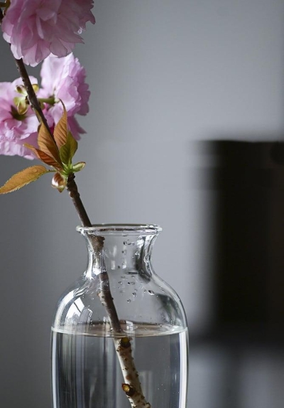 Japanese Handmade Hydroponic Plant Transparent Glass Vase