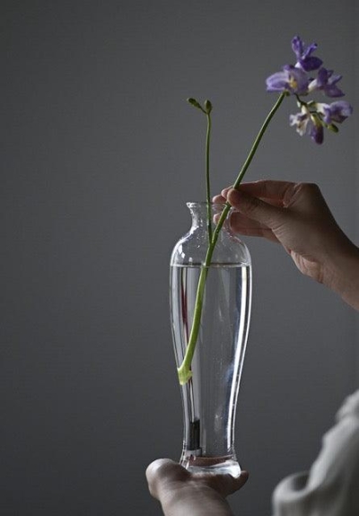 Japanese Handmade Hydroponic Plant Transparent Glass Vase