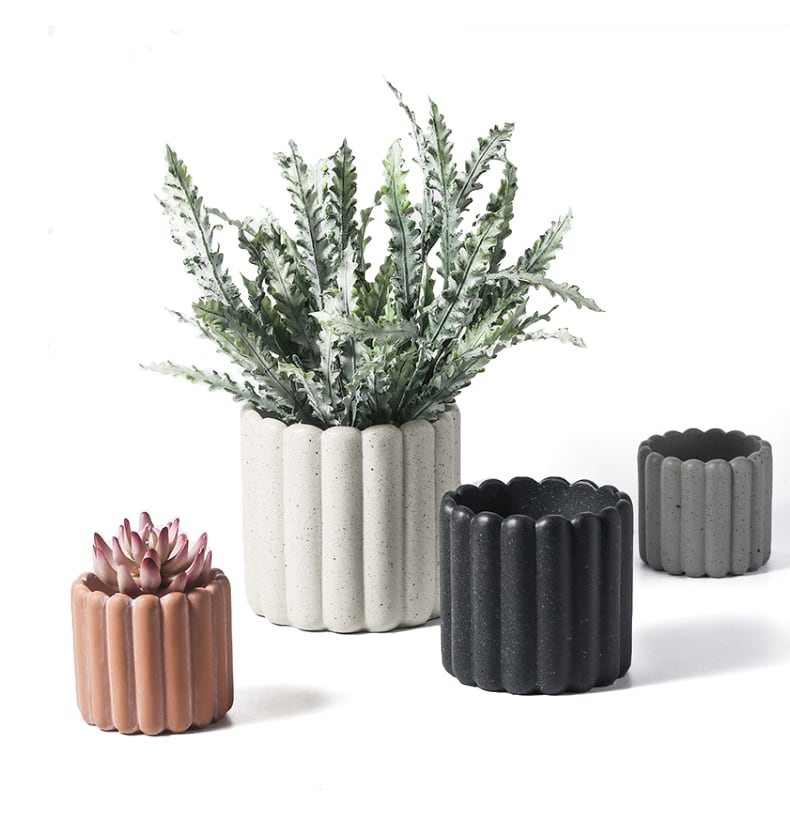collection-banner-image